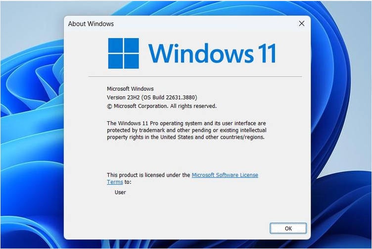 windows 11 winver dialog showing installed os build