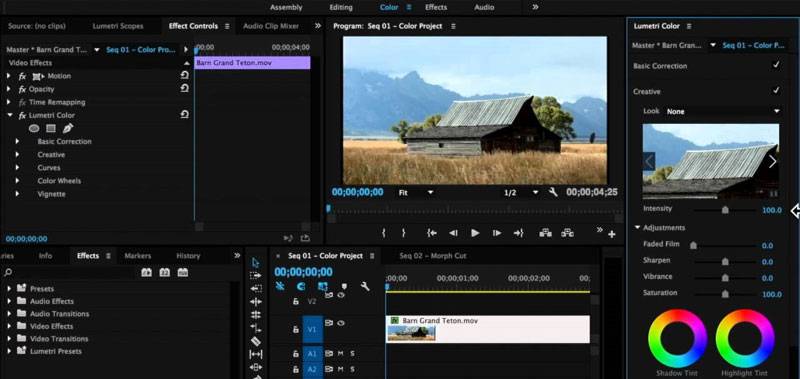 lumetri corrección de color premiere pro