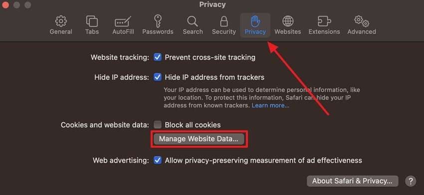 click manage website data from privacy 