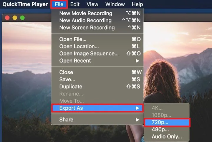 export as lower resolution