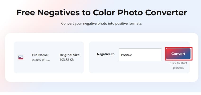 use stellar negative converter scan image