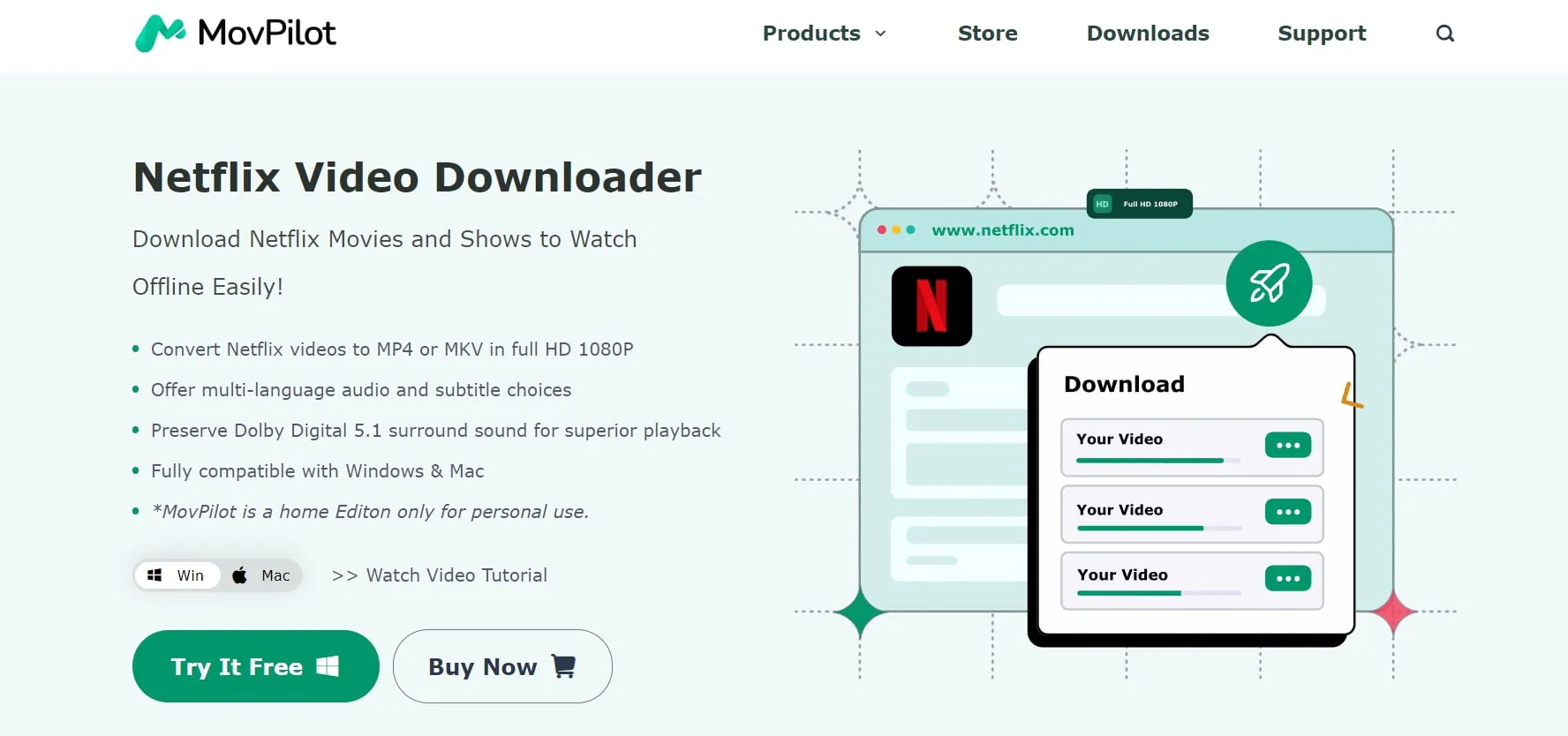 downloader de vídeo movpilot netflix