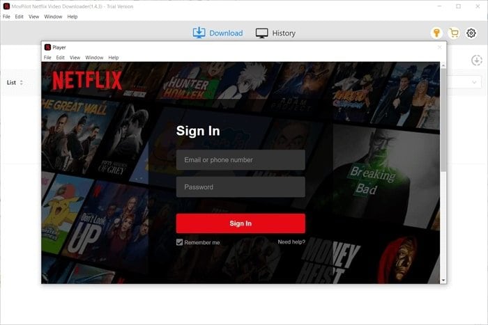 sign in to netflix account