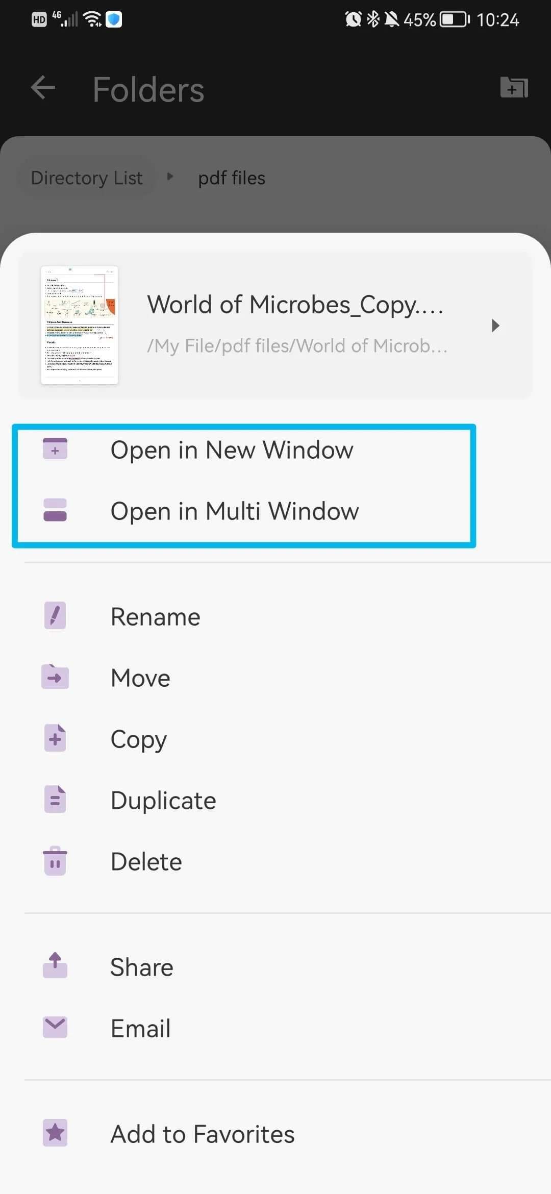 select open in new window