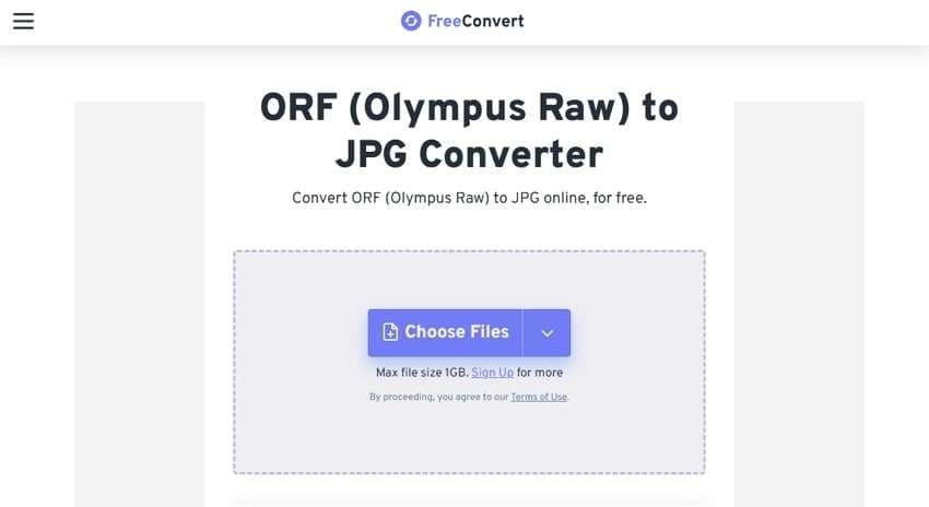 freeconvert orf to jpg converter