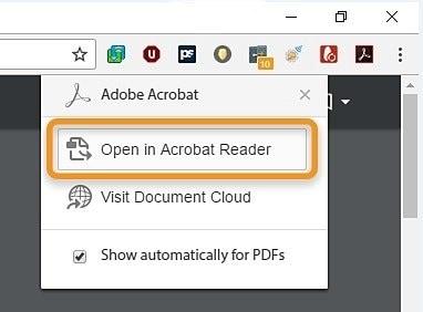 opening the new file using adobe acrobat reader