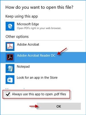 clicking on always use this app to open pdf files and then on ok