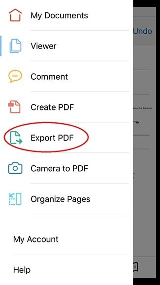 clicking on export pdf
