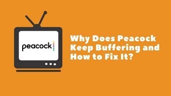 Peacock Keeps Buffering – What to Do and How to Fix It