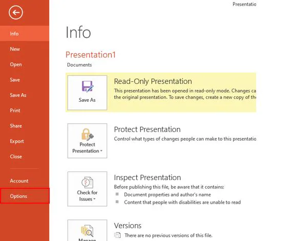 options in ppt