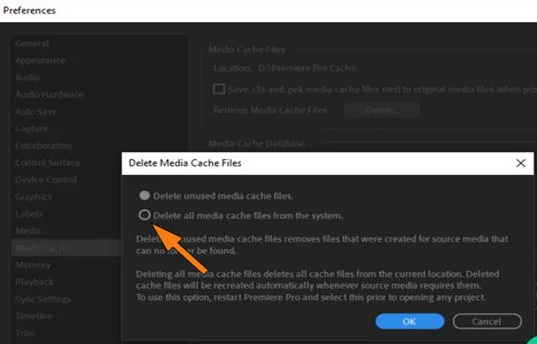 delete unused media cache files