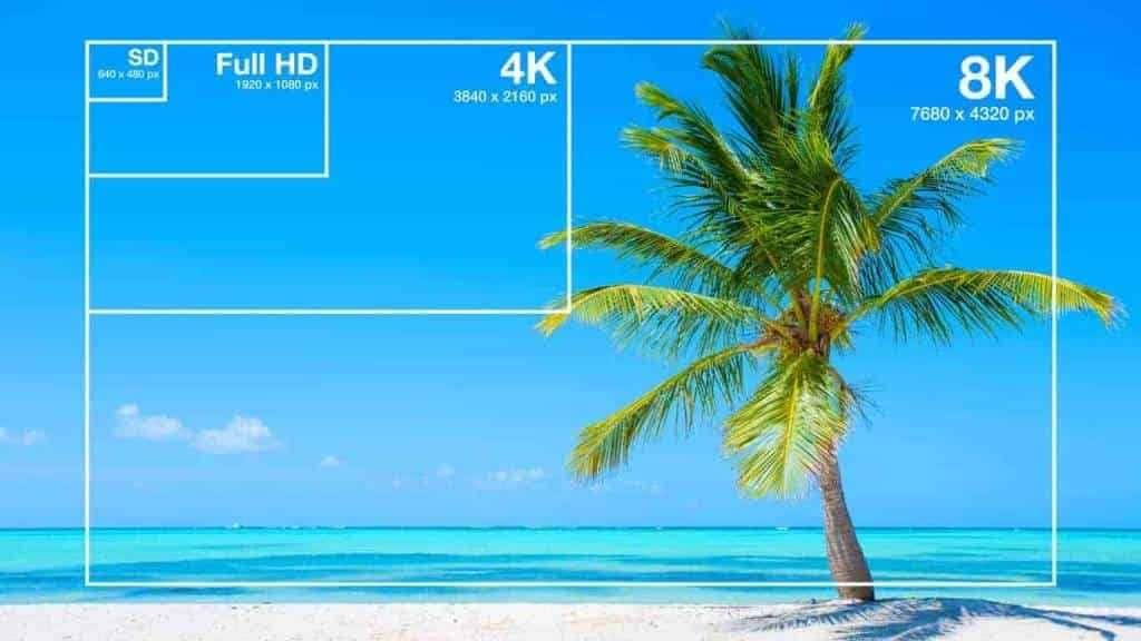 Top 6 Sites de Banco de Vídeos Gratuitos em 4K de Alta Qualidade