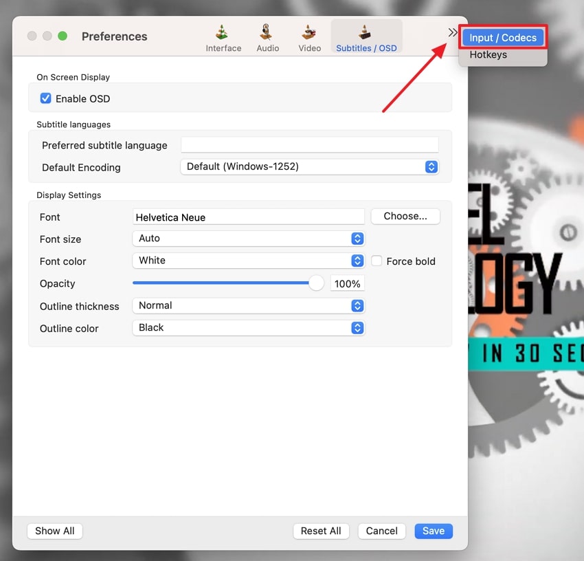 click the input codecs option