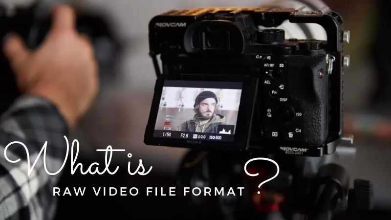 What Is RAW Video File Format and How to Open It?