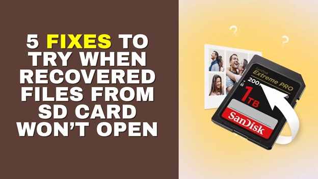 Recovered Files from SD Card Still Won't Open? Here’s the Likely Reason