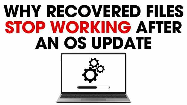 Why Recovered Files Stop Working After an OS Update