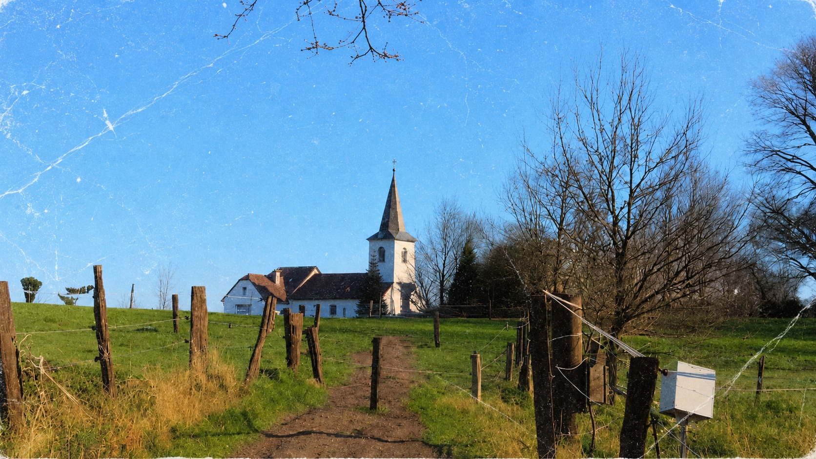 remove scratches from pictures online before