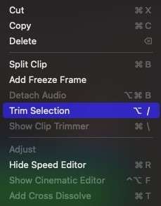 trim audio to fit the video