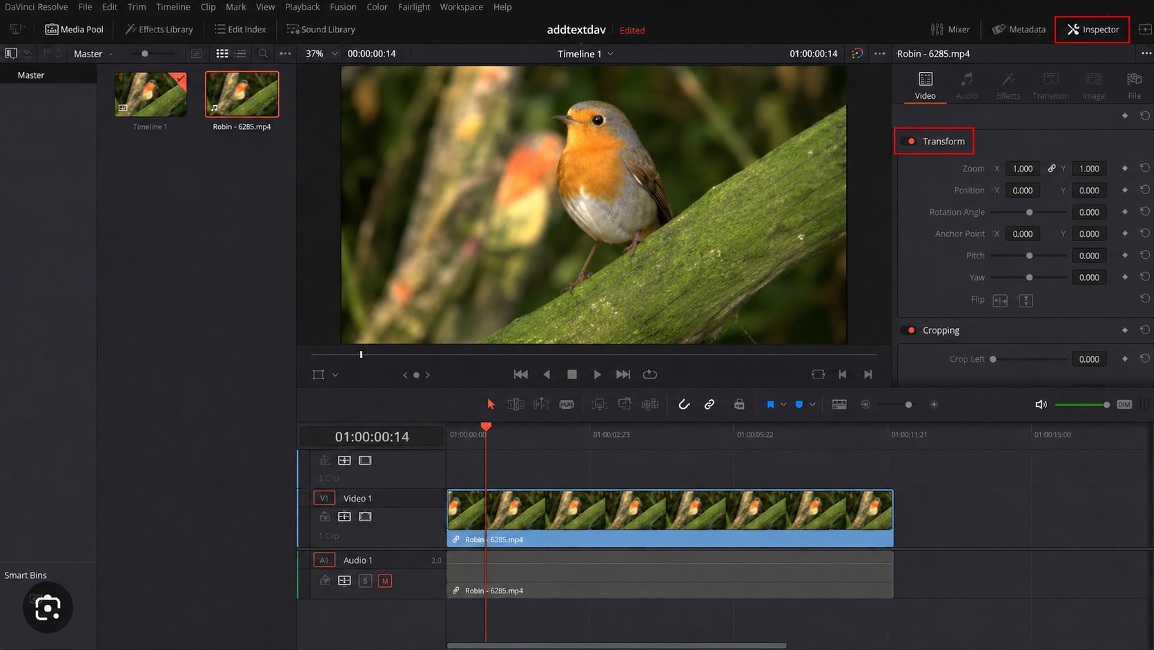 repair blank screen video files after