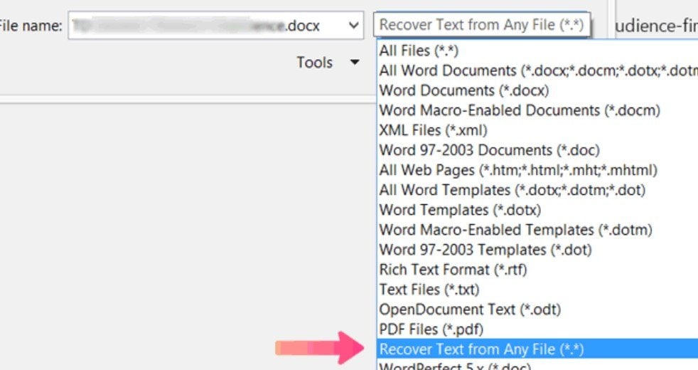 recover text from any file ms word