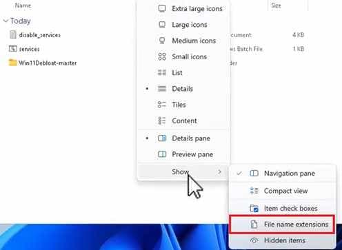 file name extensions 