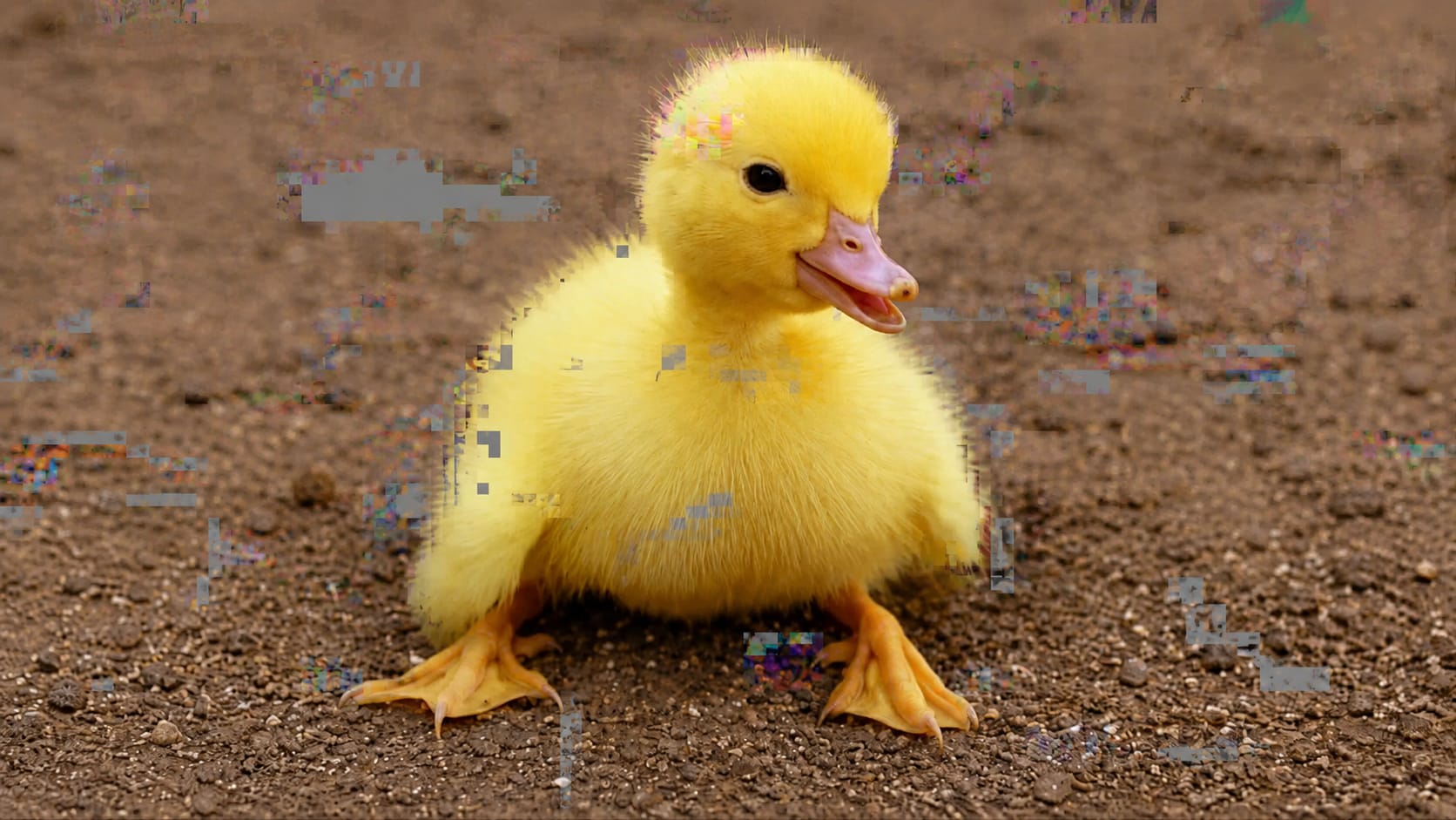 repair pixelated and corrupted images before