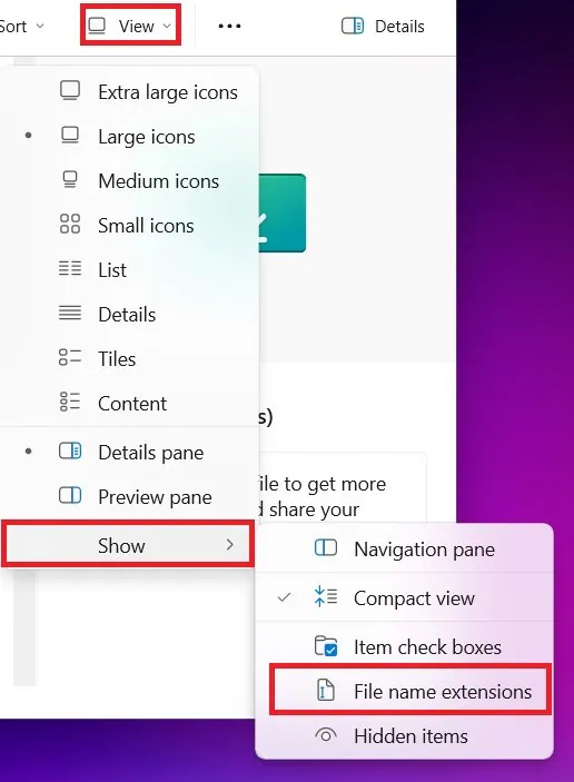 show Image name extensions