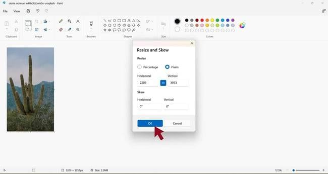 resize image ms paint pixel percentage