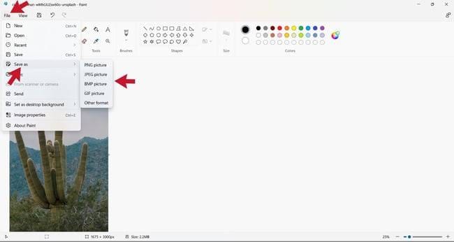 redimensionner l'image ms paint, option d'enregistrement