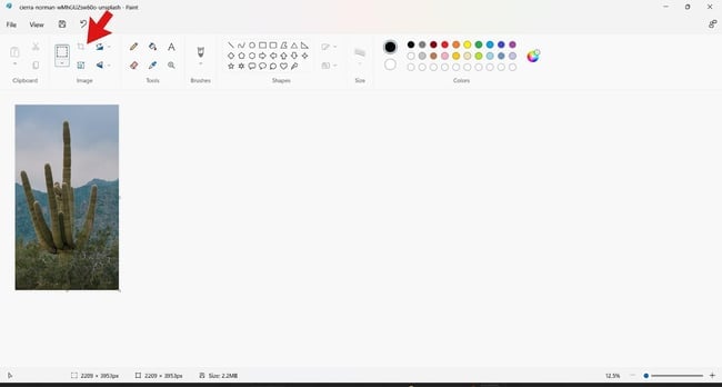 resize image ms paint square icon