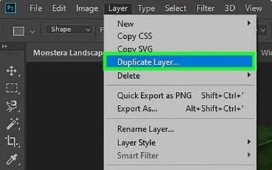 choose duplicate layer