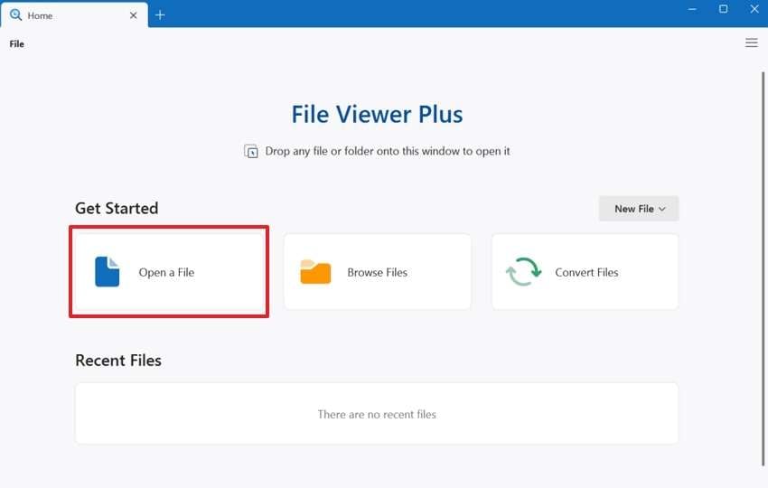 access open a file