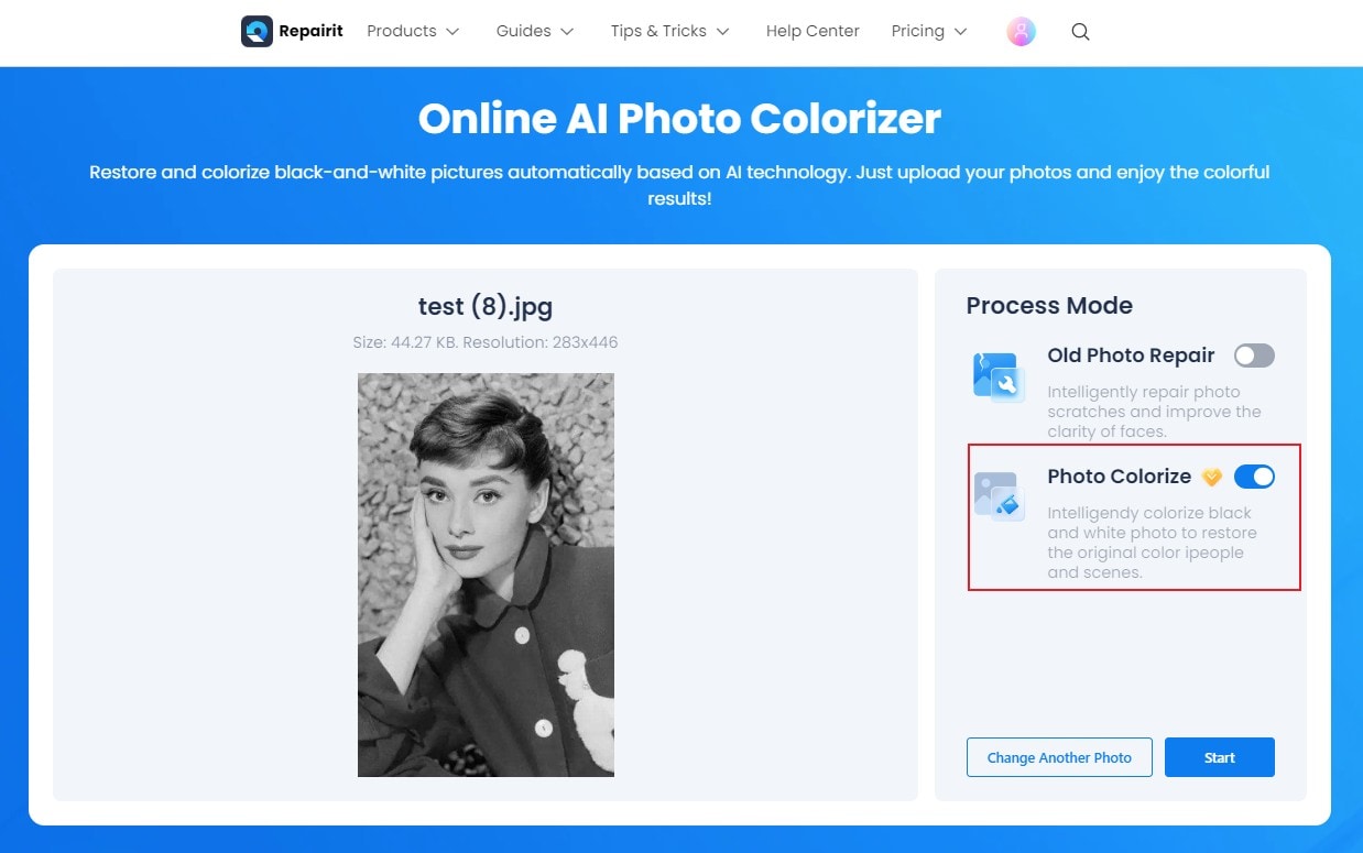 select photo colorize option