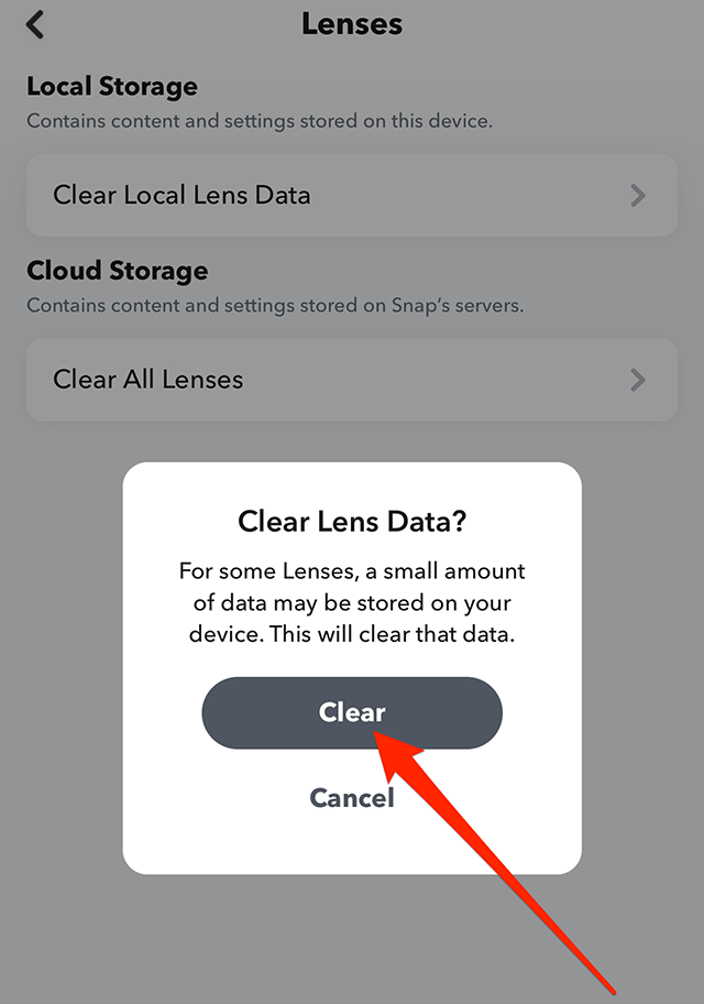 snapchat clear lens data