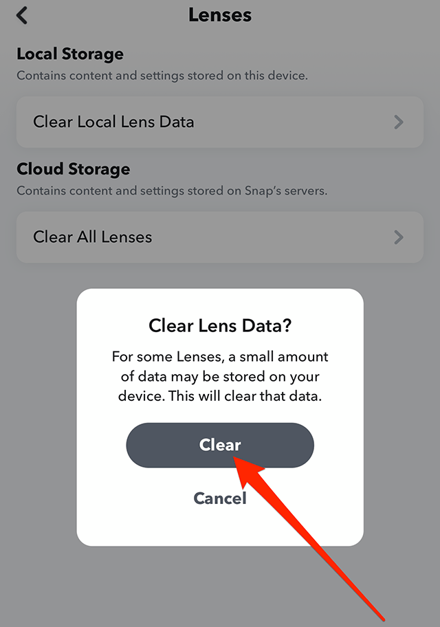cancella dati delle lenti di snapchat