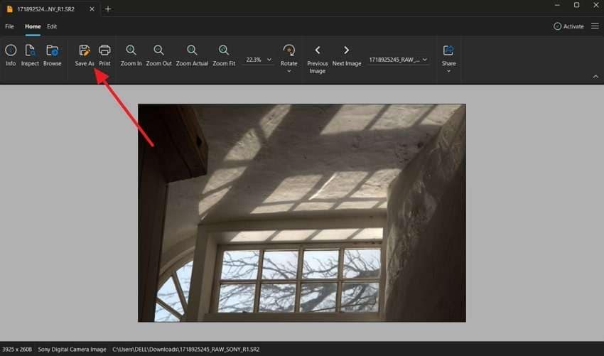 save opened sr2 file viewer plus