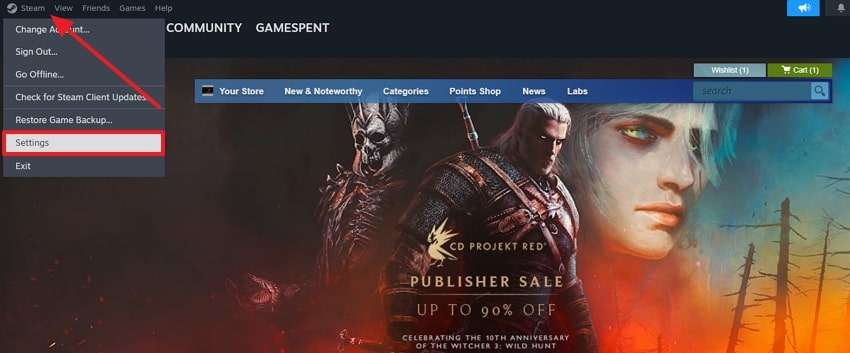 access steam settings