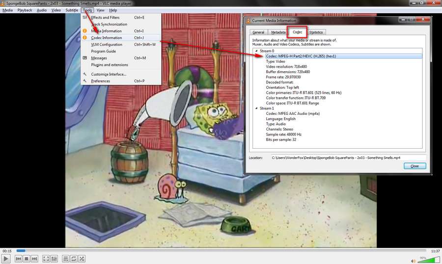 checking codec requirements in vlc player