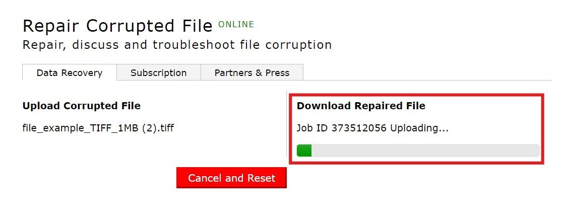 download repaired file