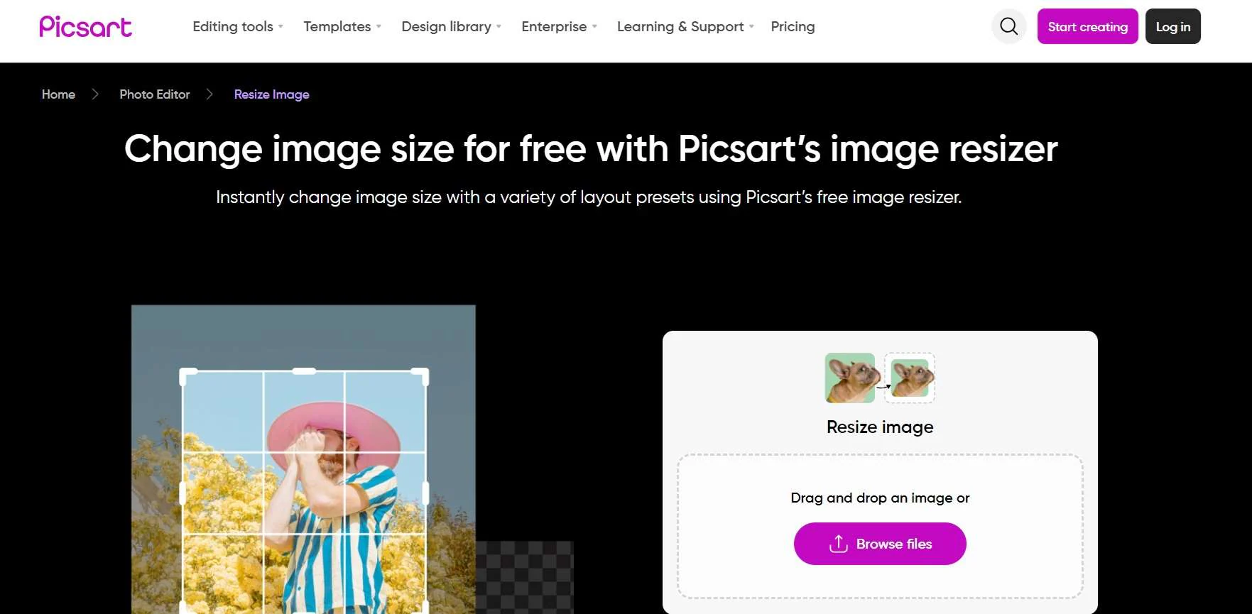 picsart online picture pixel resizer