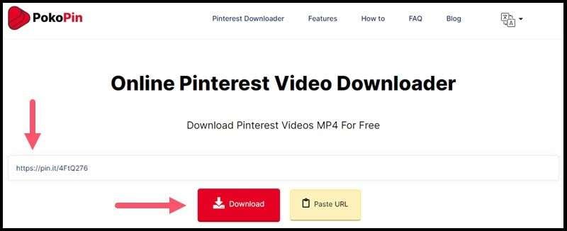 FAQ   - How to download a video from