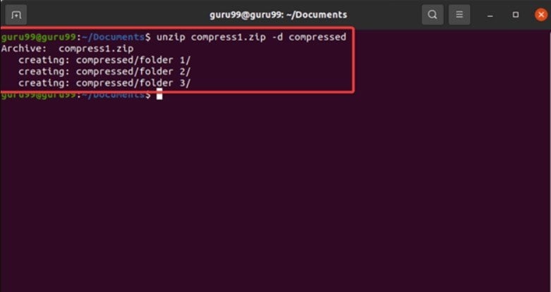 unzip file on linux using the command line