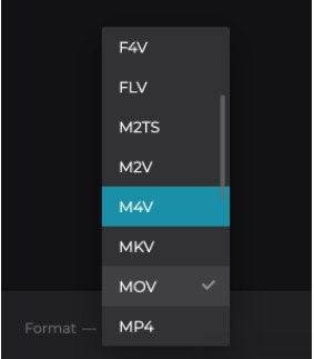 video output selection page