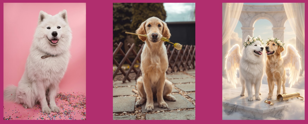 valentines-day-filter