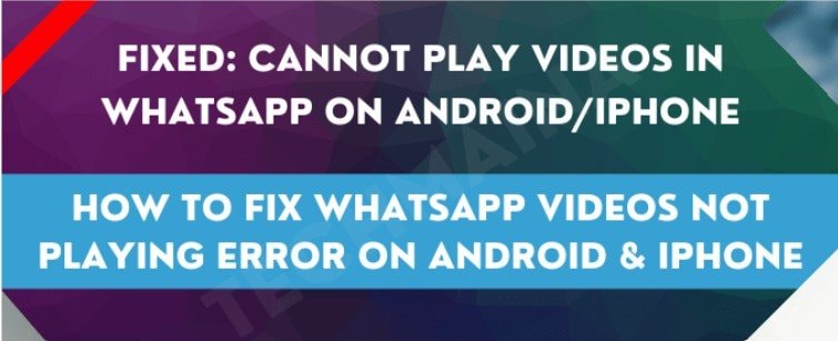 How to Fix Videos Not Playing on WhatsApp in 7 Ways