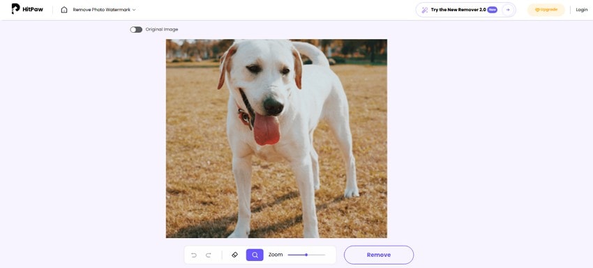 hitpaw watermarkremover io alternative