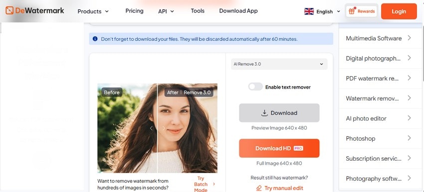 dewatermark watermarkremover io alternative