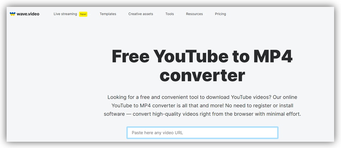 wave.video youtube to mp4 converter
