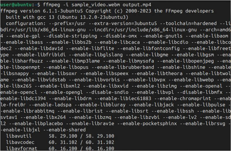 Real FFmpeg terminal conversion output during WebM to MP4 processing