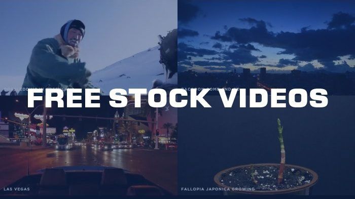 what is a stock video